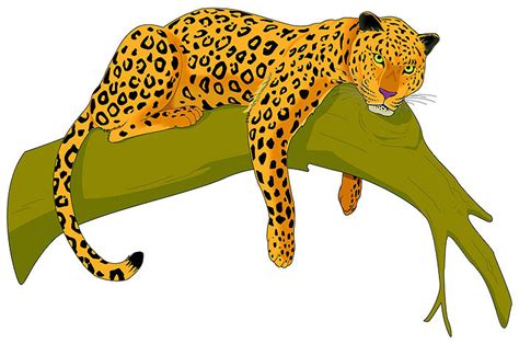 Jaguar Clip Art Vector Free Clipart Images 2 Wikiclipart