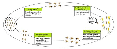 Social Behavior Of Honey Bees Download Scientific Diagram