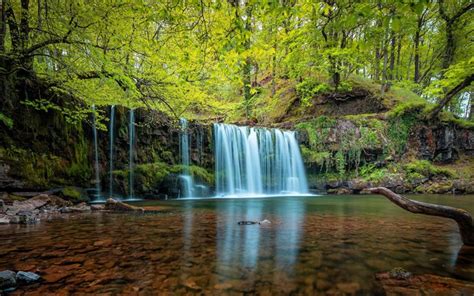 Download Wallpapers Waterfall Lake Forest Green Trees Beautiful