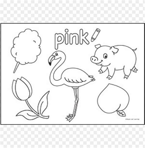 Color Pink Coloring Pages