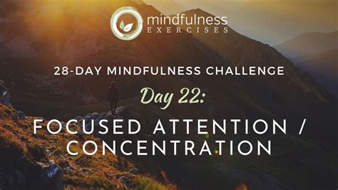 Focused Attention And Concentration Guided Mindfulness Meditation Youtube