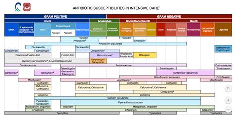 Serious Updated Pocket Size Antibiotic Chart Sheet Medicalschool