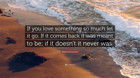Albert Schweitzer Quote If You Love Something So Much Let It Go If