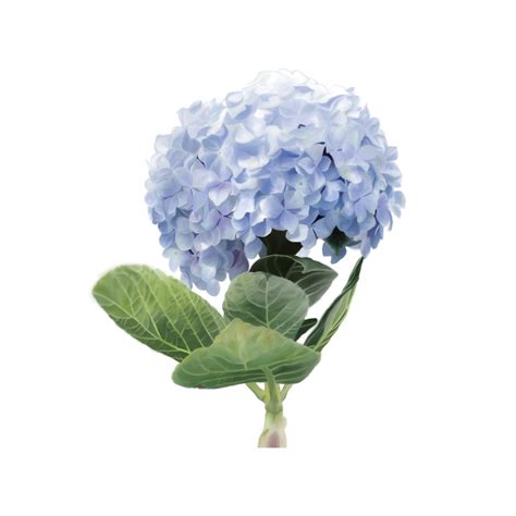 Blue Water Hydrangea Art Png Clip Art Printable Digital Etsy