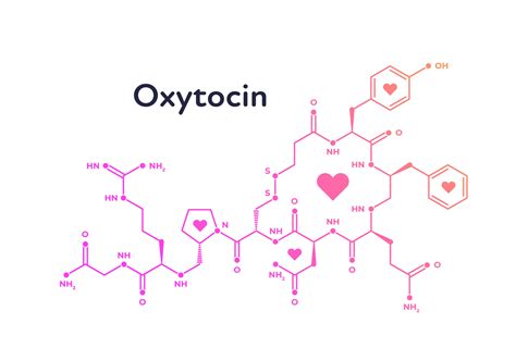 love and male factor infertility what s oxytocin got to do with it naturopathic doctor news