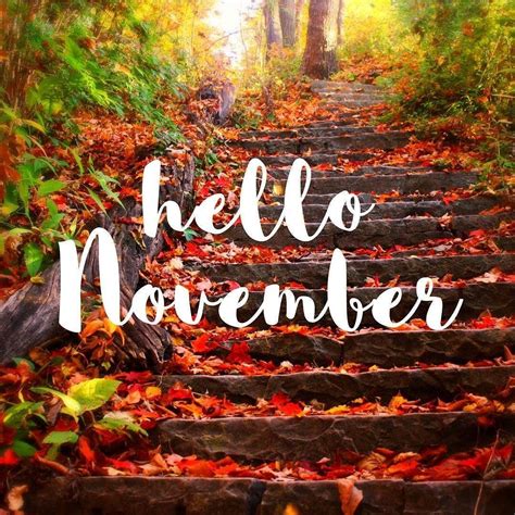 Pinterest Hello November Wallpapers Top Free Pinterest Hello November