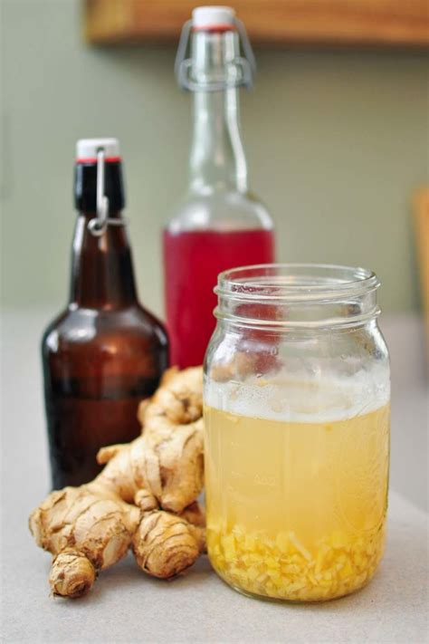 How To Make A Ginger Bug For Homemade Soda The Fermentation Adventure