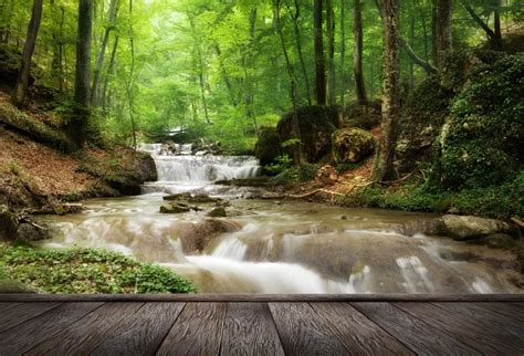 Laeacco Green Forest Waterfall Stream Landscape Wooden Floor