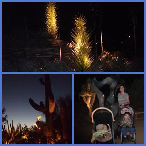 Desert Botanical Garden Night 2 Where Connor And Jt Go