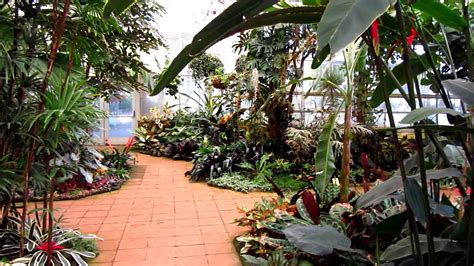 Sherman Library & Gardens - Corona Del Mar, Orange County, CA - Orchid