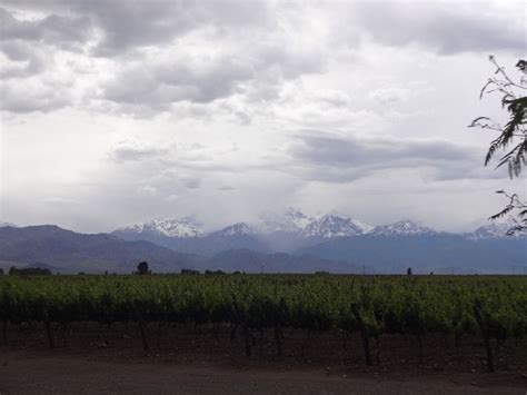 Regiões Vinícolas de Mendoza: Valle do Uco | Mendoza ...
