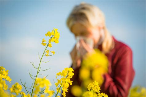 Pollen Allergies Are More Severe This Year