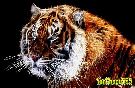 Tiger By Yanshady On Deviantart