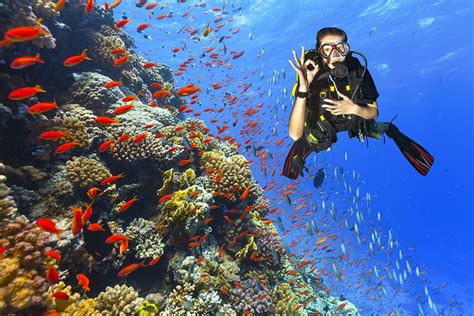 Learn To Scuba In The Bahamas Southern Boating