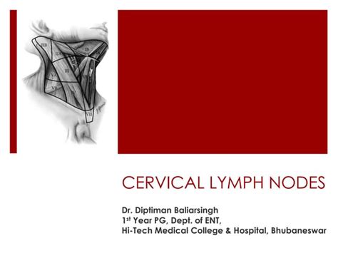 Cervical Lymph Nodes Anatomy Ppt