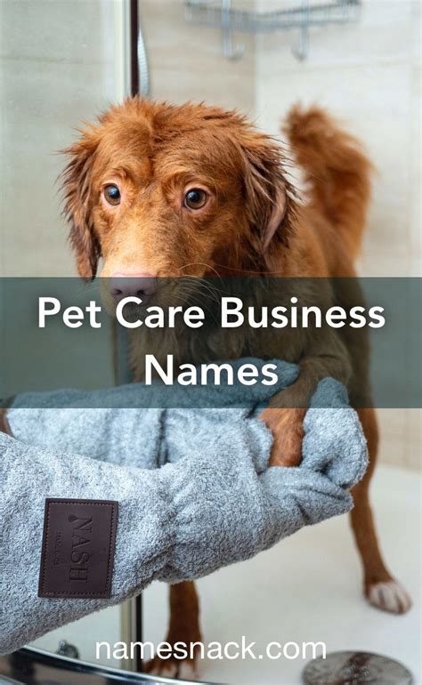 Pet Sitting Business Names Artofit