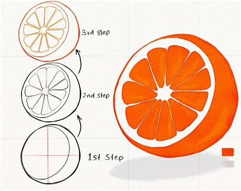 How To Draw An Orange Easily Step By Step Tutorial Choose Marker