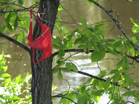 Lost Thong I Saw This As I Was Biking Along The Rideau It Flickr