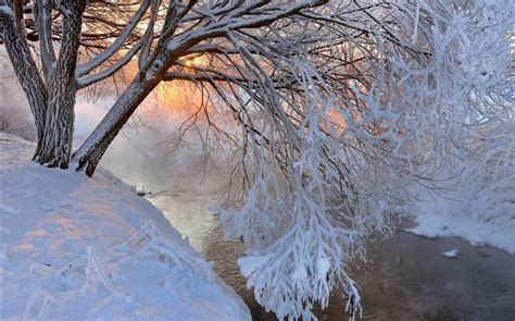 Winter Thick Snow Tree Twigs River Sunset Hd