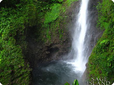 It's clear that the film wants to appeal to the gritty modern drama fans, but break my fall comes across as a bit beige where it could afford to get a bit more dirty. Sage Island: Dominica Guide: Middleham Falls