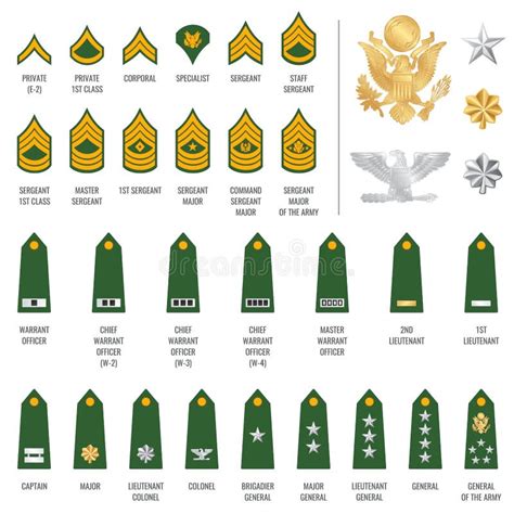 Militares Rangos Hombro Insignia Ejército Soldado Correas Ilustración