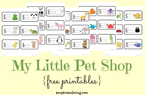 Poppins Book Nook: My Little Pet Shop - Amy's Wandering