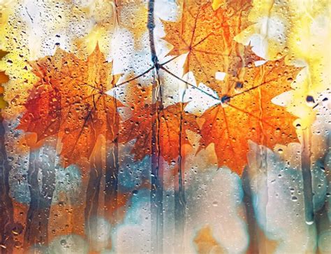 Autumn Leaves Through Rain Streaked Window Painting Autumn Leaves Art