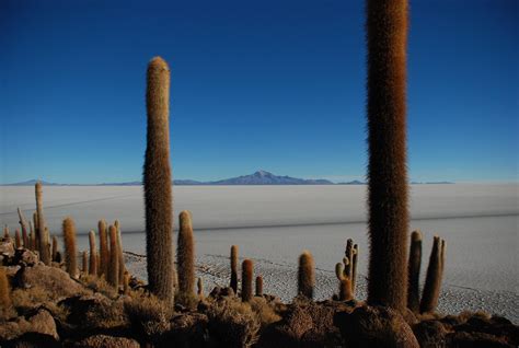 Boliviatupiza Uyuni Tripsalares De Uyuni Flickr