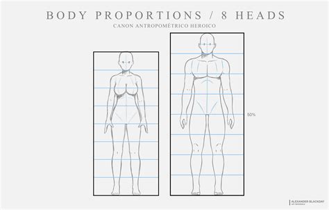 Body Proportions 8 Heads By Alexander Blackday On Deviantart