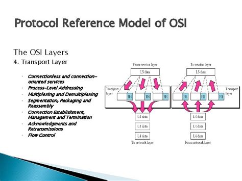 Protocol Reference Model Of Osi Model Content Introduction