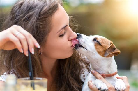 18 Sagge Ragioni Per Innamorarti Di Una Ragazza Che Ha Un Cane Oltreuomo