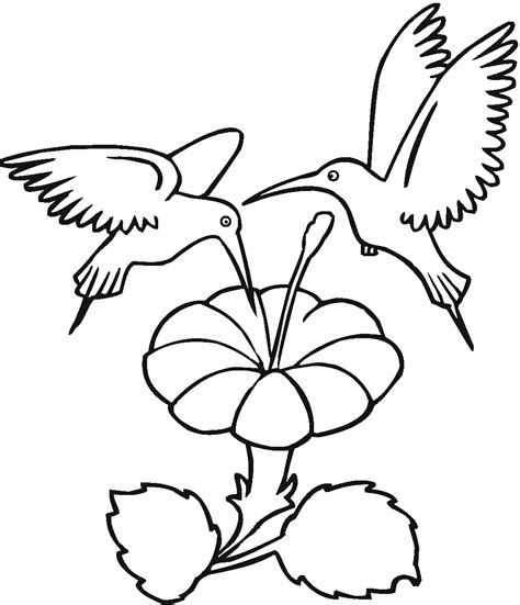 Hummingbirds can fly not only forward, but also straight hummingbird coloring pages finished. Free Printable Hummingbird Coloring Pages For Kids