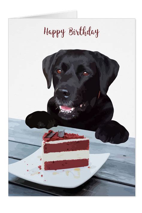 621 229 просмотров 621 тыс. Black Lab Birthday Card - Dog Birthday Card | Zazzle.com ...
