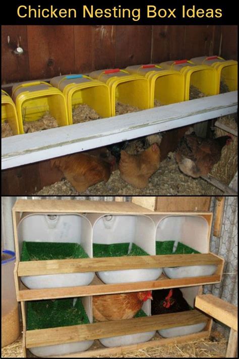 6 Creative Chicken Nesting Box Ideas The Owner Builder Network