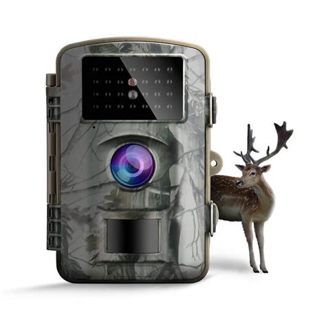 Wildlife Motion Activated Camera Mp P S Trigger Nm Updated Infrared Motion