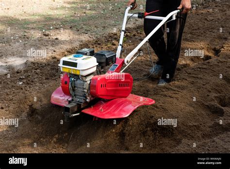 Man Working In The Garden With Garden Tiller Machine Garden Tiller To