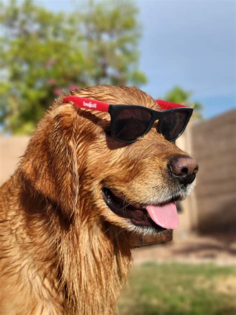 Katie Pavlich on Twitter: "That @townhallcom VIP vibe 😎 https://t.co