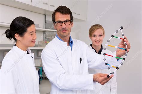 Scientists With Dna Molecular Model Stock Image F0091330 Science