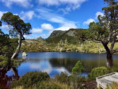 Parc National De Cradle Mountain Lake St Clair étape Incontournable De