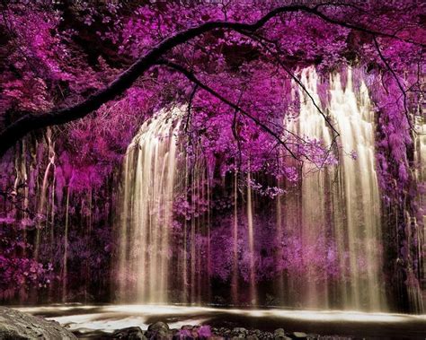 Pictures Of Waterfalls And Flowers