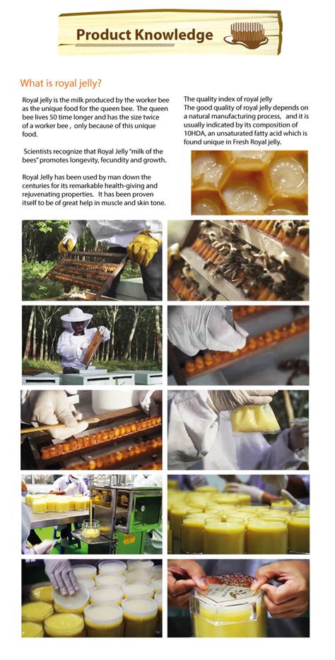 Fresh Royal Jelly 500g Thepprasit Honey Online Shopping Malaysia