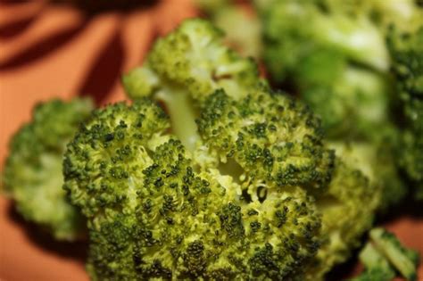¿y cómo cocinar brocoli hervido? Cómo sembrar semillas de Brócoli en el huerto | Alimentos ...