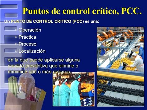 Analisis De Peligros Y Puntos Criticos De Control