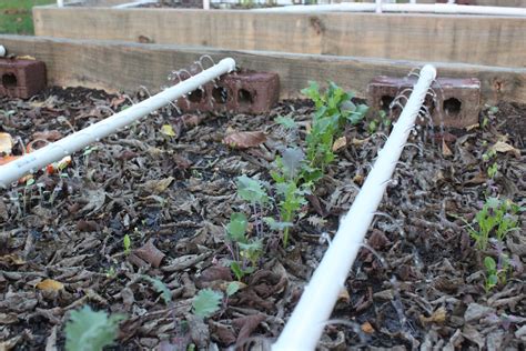 End Cap Garden Watering System Vegetable Garden Raised Beds Raised