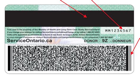 Drivers License Barcode On Back Cvcopax