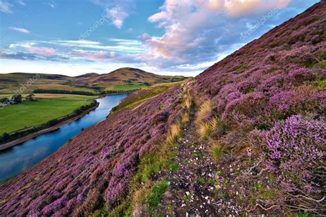 Beautiful Landscape Of Scottish Nature — Stock Photo