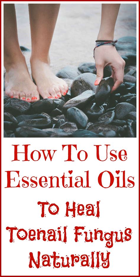 Essential Oils Good For Toenail Fungus Toenail Fungus Essential Oils