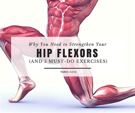 Why You Need To Strengthen Your Hip Flexors And The 5 Best Exercises