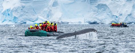 Geschichte Der Erkundung Der Antarktis Hurtigruten