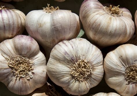 Farmer Jailed For 11 Months For Smuggling Thousands of Garlic Bulbs ...